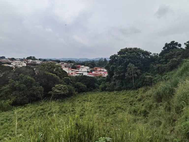 Farm in Desamparados, Alajuela: Ideal for Developers with Permits and Potential for 46 Lots