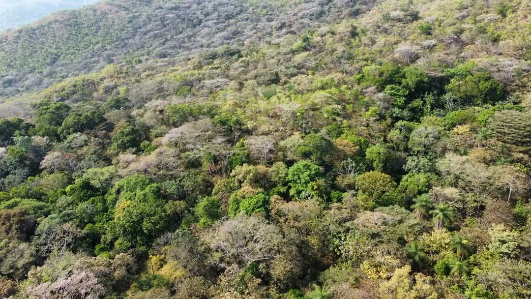 🌿 High-Potential Investment in the Magnificent Turrubares Mountains 🌿, photo 6