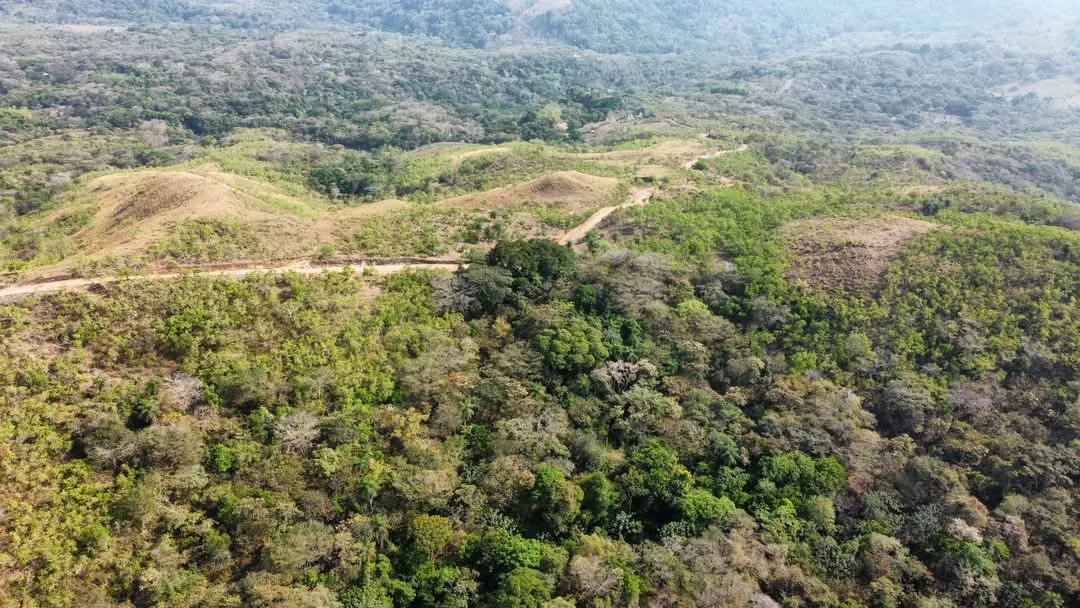 🌿 High-Potential Investment in the Magnificent Turrubares Mountains 🌿, photo 8