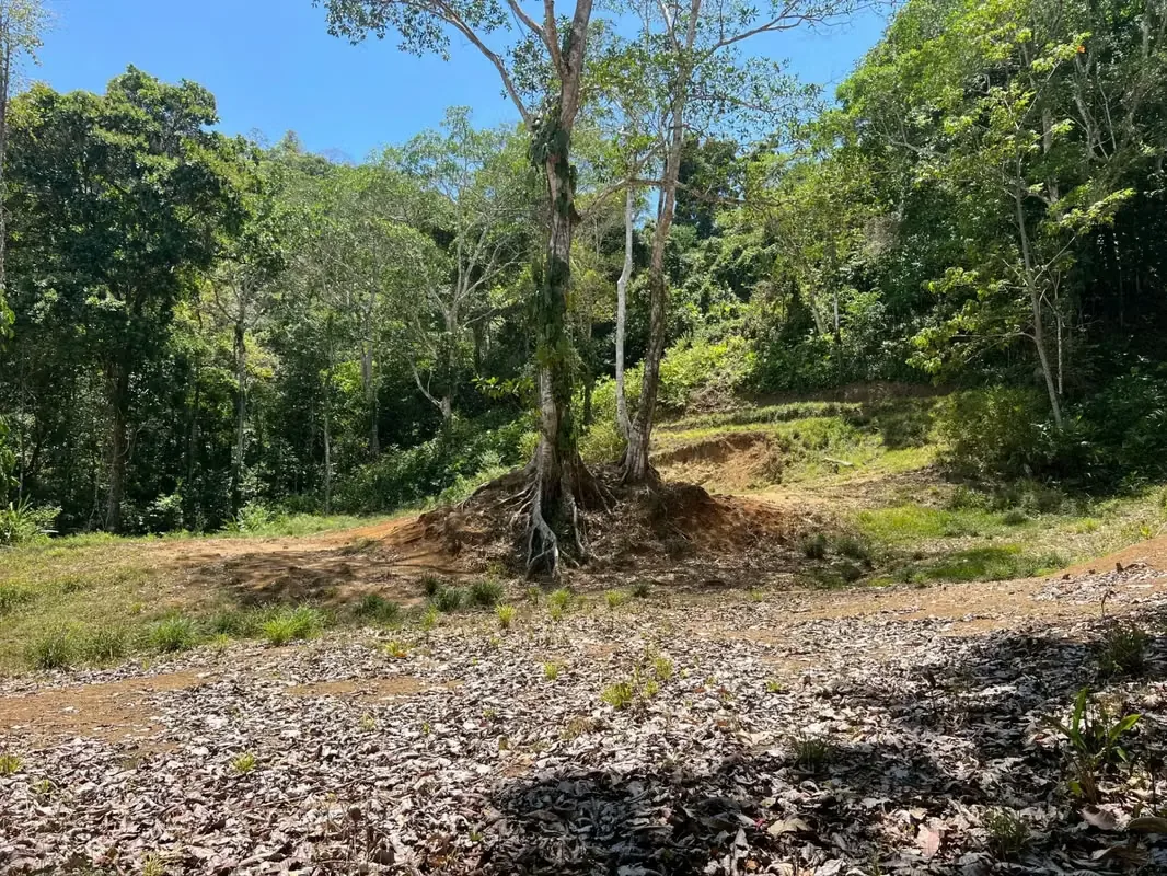 Discover an exceptional opportunity to acquire an expansive 5028 square meter plot of land situated in the thriving Quebrada Seca neighborhood of Jacó, Puntarenas, Costa Rica. This ...