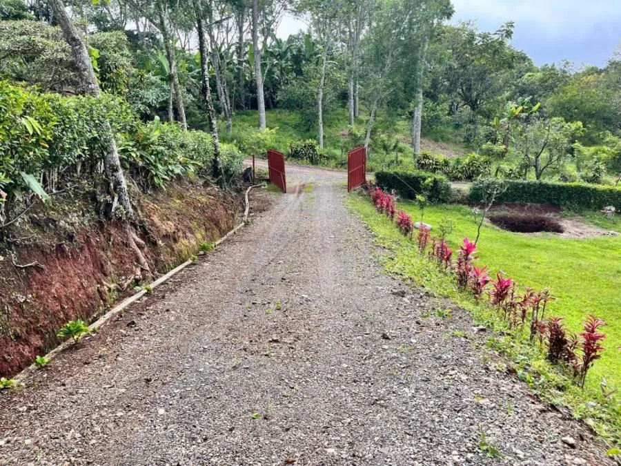 Venta de Finca + Casa de Campo en Santiago de Puriscal. RAH 26-843 - Venta en Puriscal, photo 5
