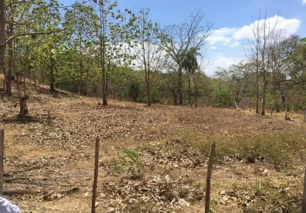 Estate Property for Sale in San Miguel, Puntarenas | 4,000 m² | Gulf Views