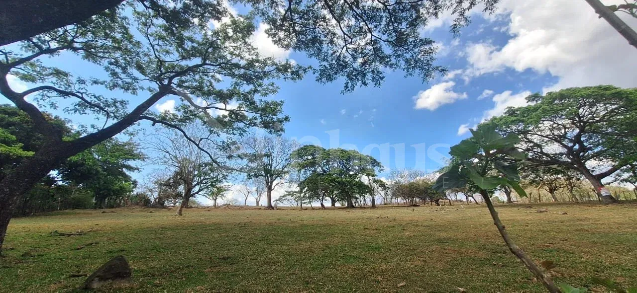 Venta de Lote en La Guácima