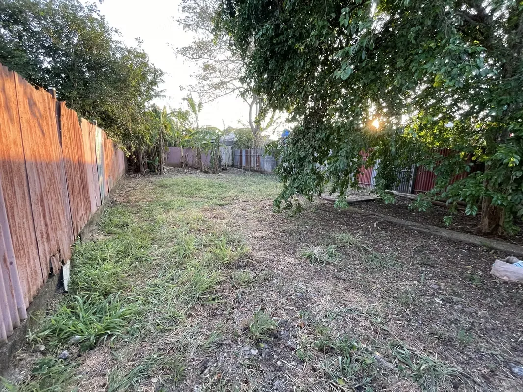 Property for Sale in Downtown Esparza | Prime Location | Negotiable Price, photo 6