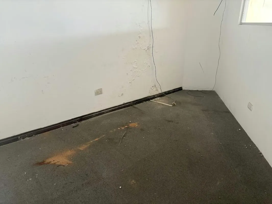 Oportunidad de adquirir una oficina en una excelente ubicación! Se pone en alquiler una oficina en San Pedro de Montes de Oca, perfecta para tu negocio o proyecto profesional. Tiene ..., photo 5
