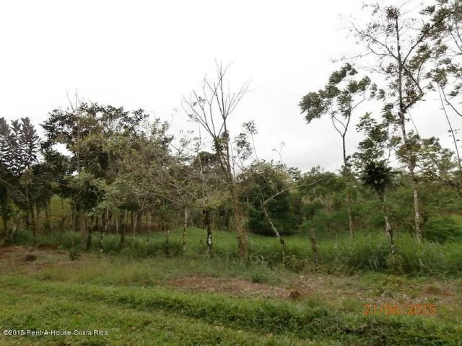 Venta de Lote en San Ramón, Alajuela. - Venta en San Ramón