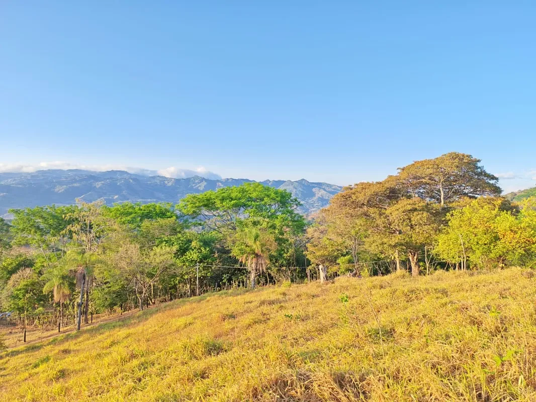 Beautiful property located in Altos de San Pablo de Turrubares, ideal for those seeking tranquility, nature, and excellent views. It features a private entrance and a 2,413 ...