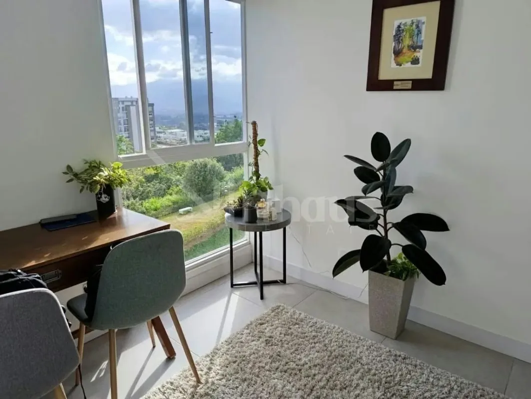 Apartamento en alquiler en Monte Alto, Id 43789, photo 8