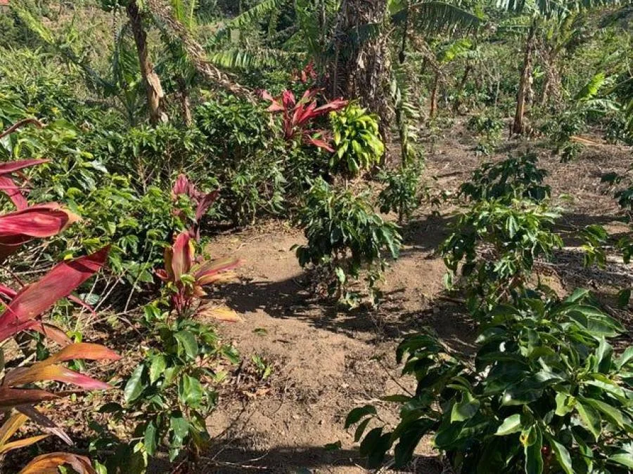 Venta de Lote en Desamparados, San José.  - Venta en Desamparados
