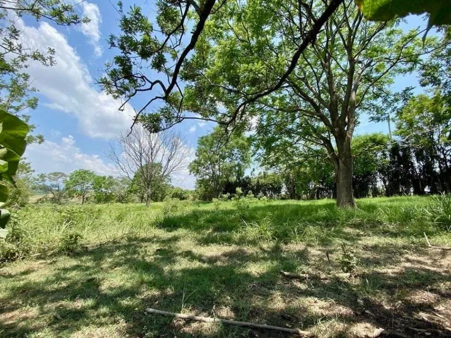Se Vende lote de 7119 M2 en San Antonio de Alajuela 26-1304 - Venta en San Antonio