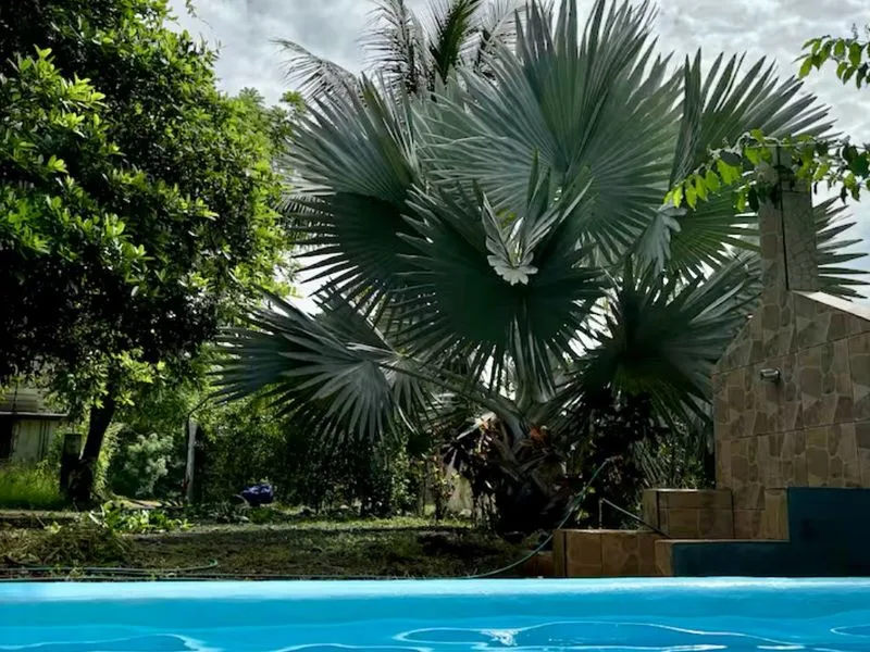 2 Bed Single Family Homes For Sale in Playa Coyote, photo 4