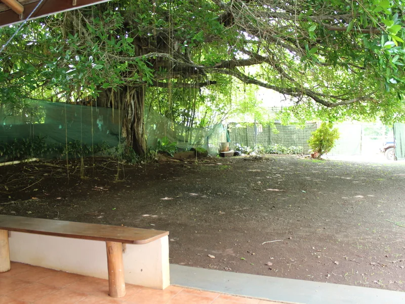 2 Bed Single Family Homes For Sale in Playa Coyote, photo 10