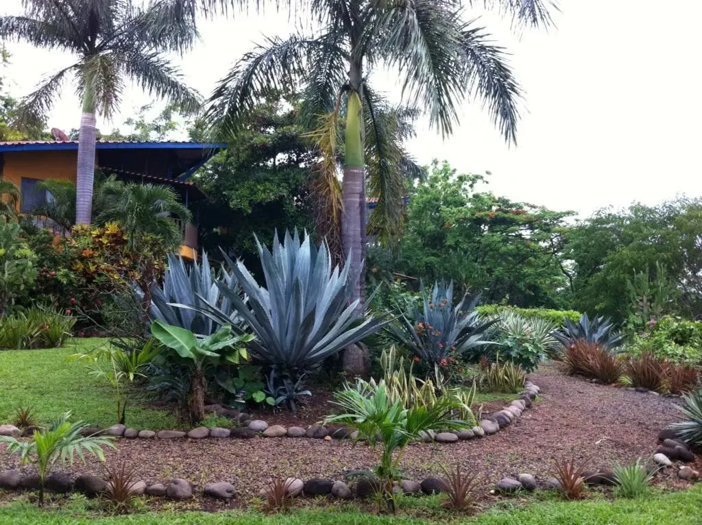 A real paradise for a family seeking privacy and independence!, photo 5