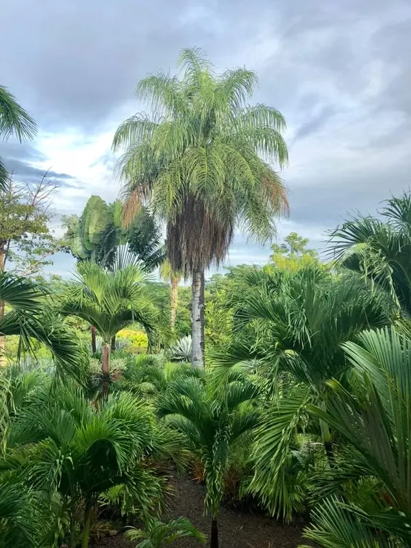 A real paradise for a family seeking privacy and independence!, photo 7