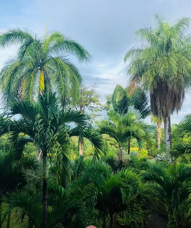 A real paradise for a family seeking privacy and independence!, photo 8