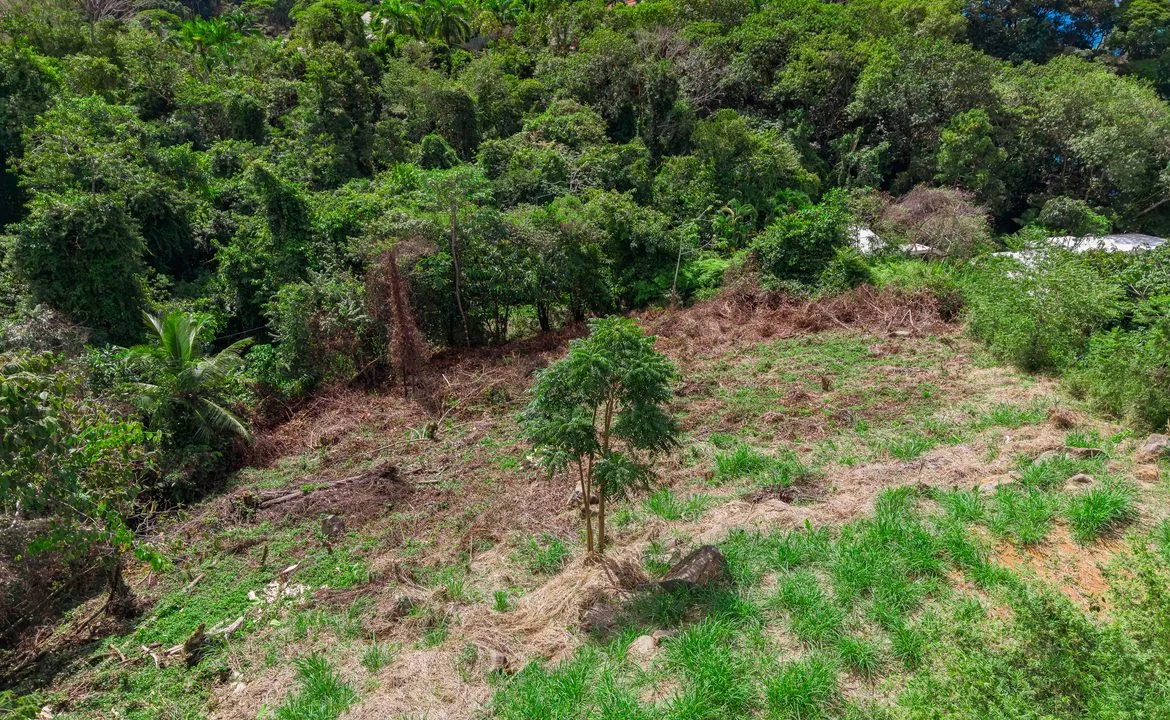 BUILDING PROPERTY WITH OCEAN VIEWS FRONT, IN ESCALERAS – 0.84 ACRES, photo 12