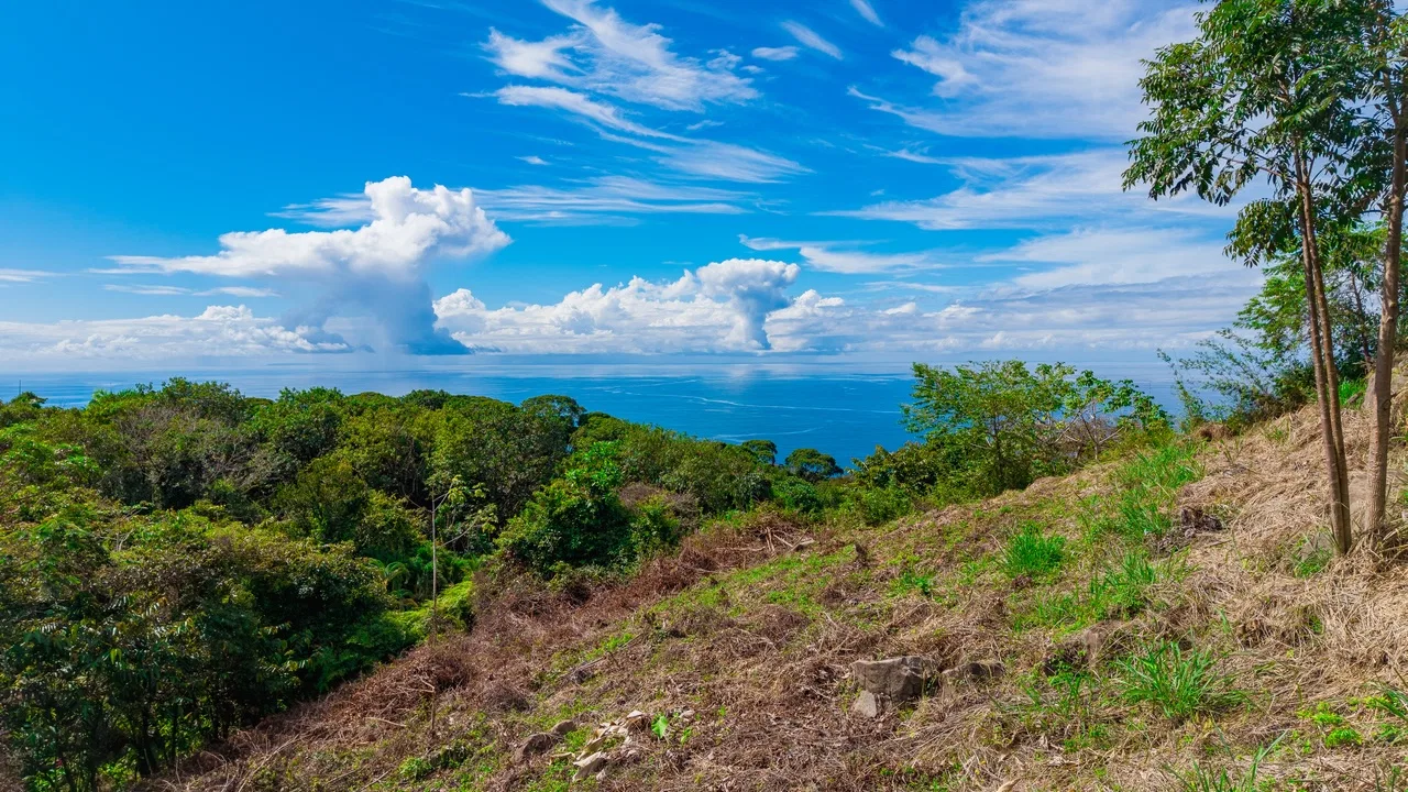 BUILDING PROPERTY WITH OCEAN VIEWS FRONT, IN ESCALERAS – 0.84 ACRES, photo 15