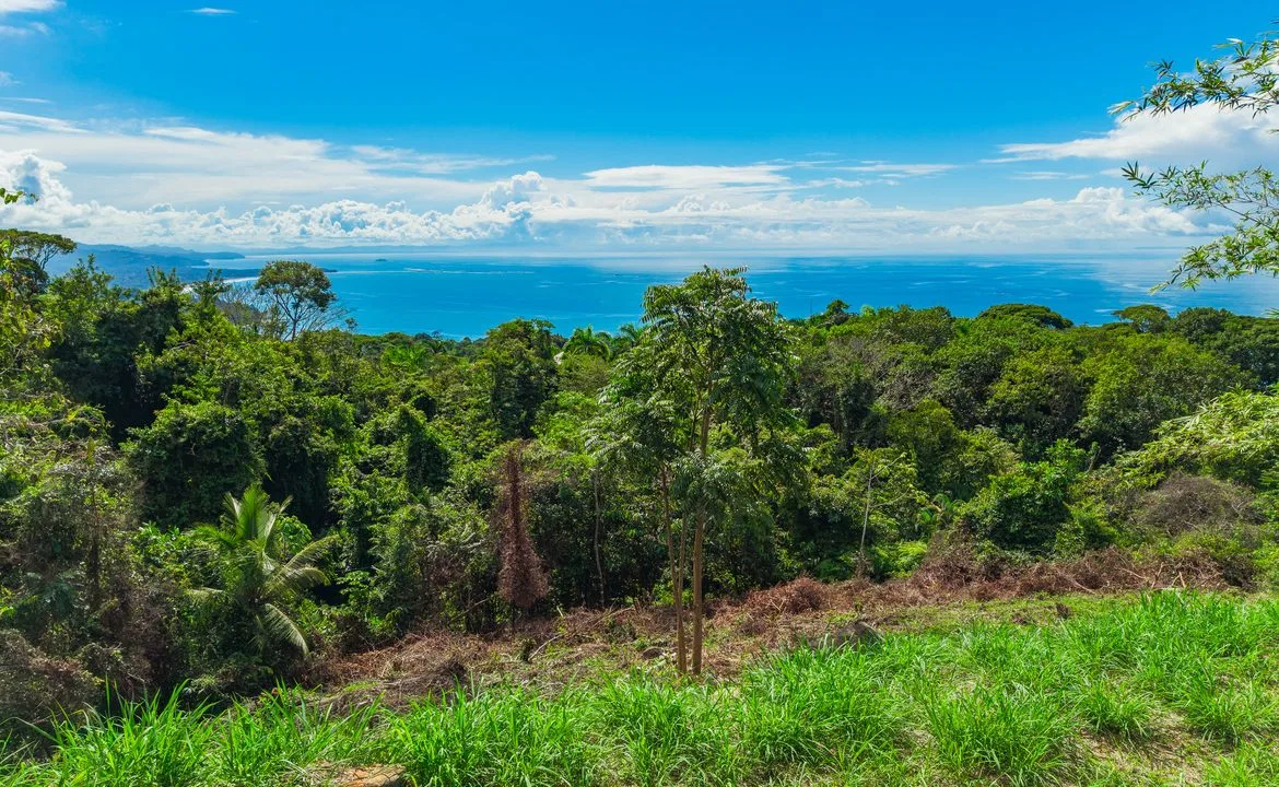 BUILDING PROPERTY WITH OCEAN VIEWS FRONT, IN ESCALERAS – 0.84 ACRES, photo 18