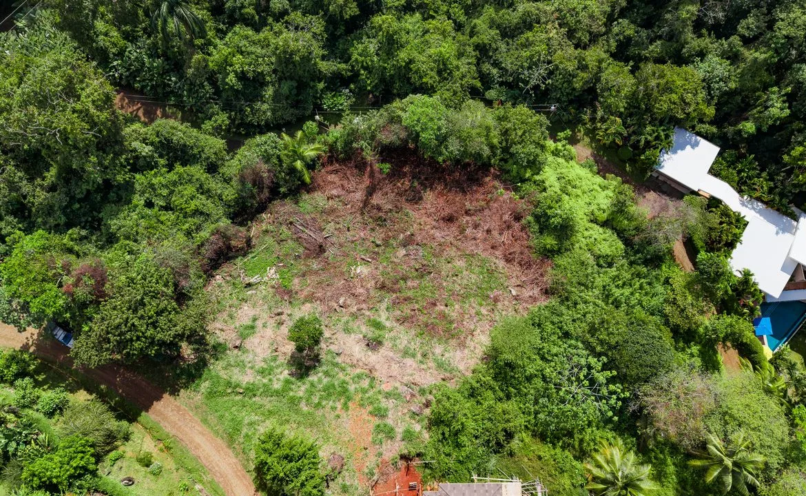 BUILDING PROPERTY WITH OCEAN VIEWS FRONT, IN ESCALERAS – 0.84 ACRES, photo 10