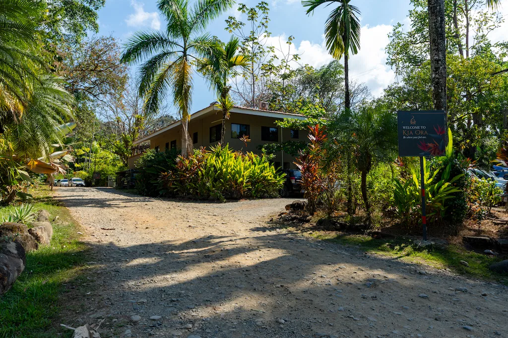 RESIDENCIAL OCEAN VIEW & COMMERCIAL PROPERTY NEAR THE BEACH, photo 12