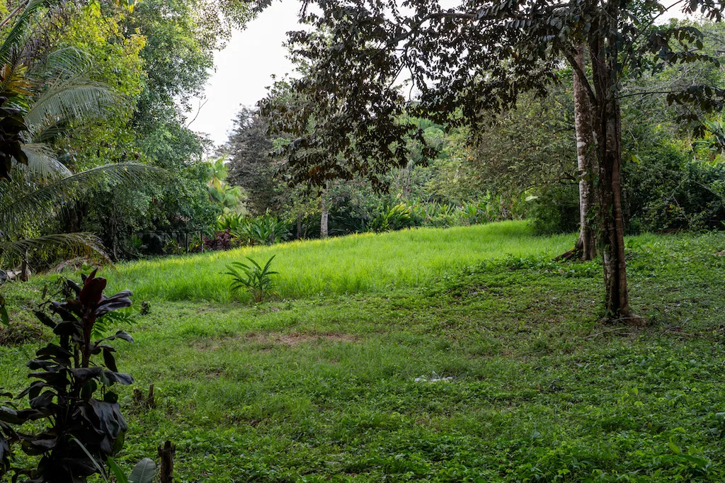 RESIDENCIAL OCEAN VIEW & COMMERCIAL PROPERTY NEAR THE BEACH, photo 13