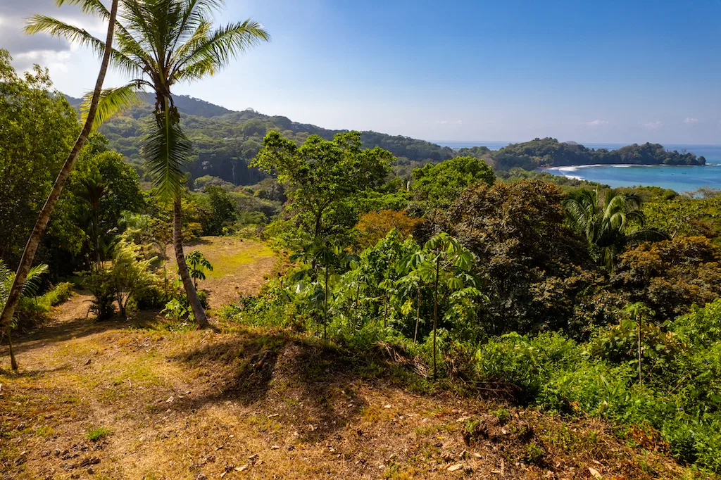 RESIDENCIAL OCEAN VIEW & COMMERCIAL PROPERTY NEAR THE BEACH, photo 15