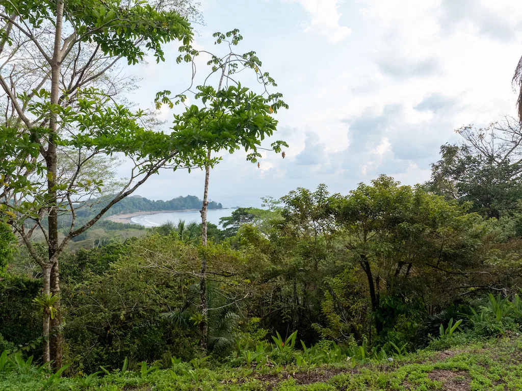 RESIDENCIAL OCEAN VIEW & COMMERCIAL PROPERTY NEAR THE BEACH, photo 19