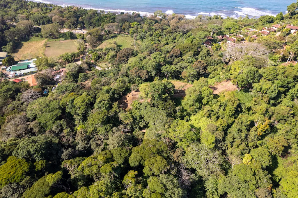 RESIDENCIAL OCEAN VIEW & COMMERCIAL PROPERTY NEAR THE BEACH, photo 4