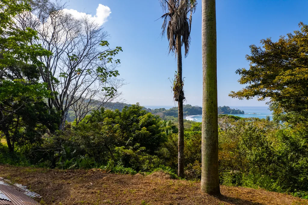 RESIDENCIAL OCEAN VIEW & COMMERCIAL PROPERTY NEAR THE BEACH, photo 8