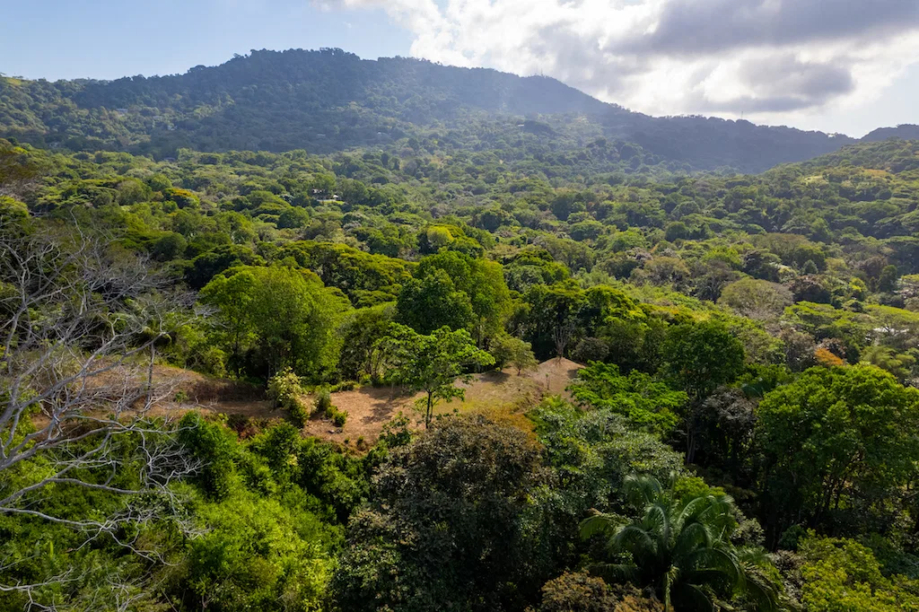 RESIDENCIAL OCEAN VIEW & COMMERCIAL PROPERTY NEAR THE BEACH, photo 9