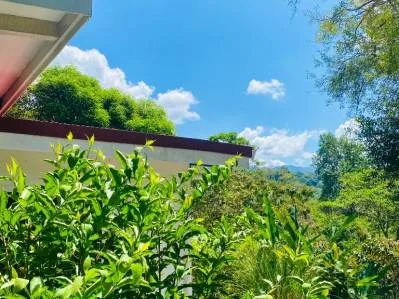 PROPERTY WITH TWO HOUSES, IN OJOCHAL – 0.67 ACRES, photo 28