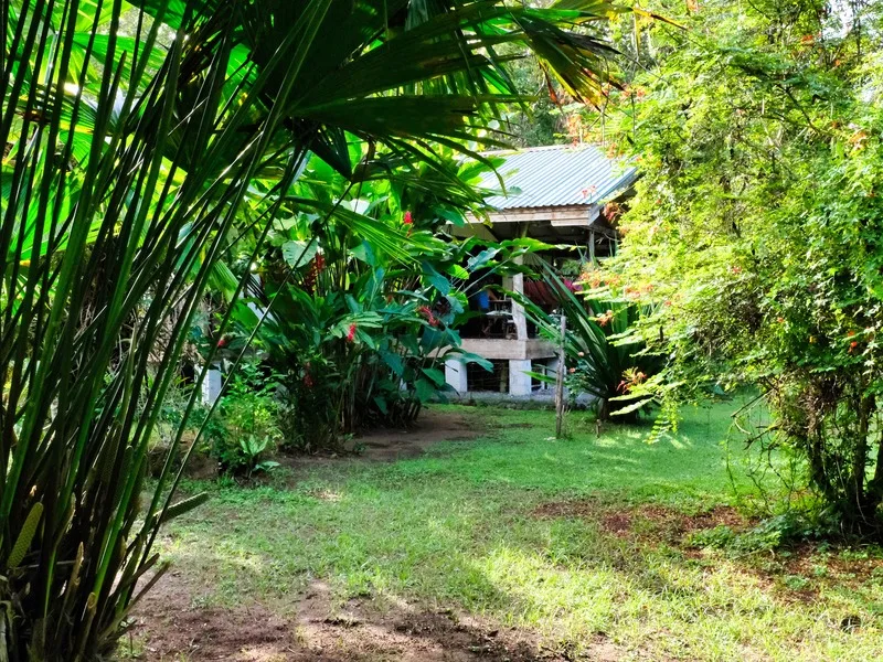 4 Bed Single Family Homes For Sale in Cahuita, photo 7