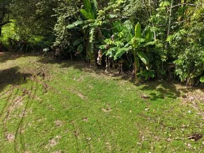 BUILDING PROPERTY READY TO BUILD, IN OJOCHAL – 0.19 ACRES, photo 20
