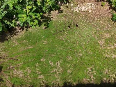BUILDING PROPERTY READY TO BUILD, IN OJOCHAL – 0.19 ACRES, photo 21