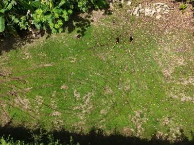 BUILDING PROPERTY READY TO BUILD, IN OJOCHAL – 0.19 ACRES, photo 23