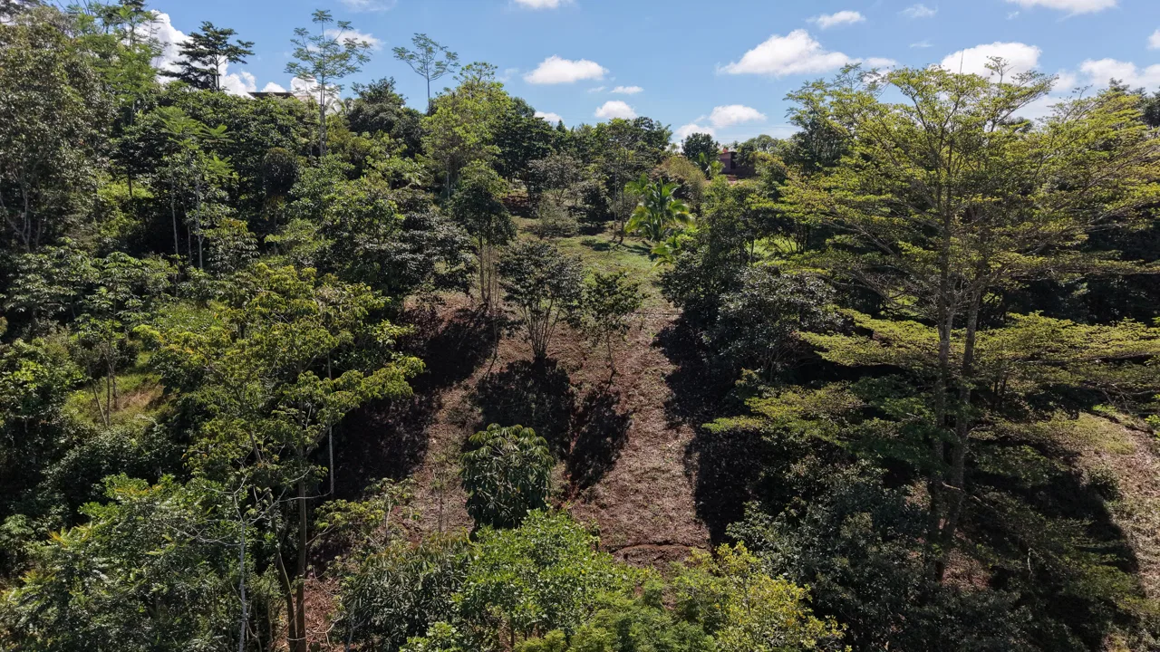 VENTA DE CASA CON LOTE DE 3.494 M2 EN TRES RIOS DE VOLCAN, BUENOS AIRES DE PUNTARENAS, photo 7