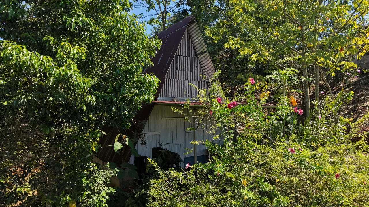 VENTA DE CASA CON LOTE DE 3.494 M2 EN TRES RIOS DE VOLCAN, BUENOS AIRES DE PUNTARENAS, photo 8