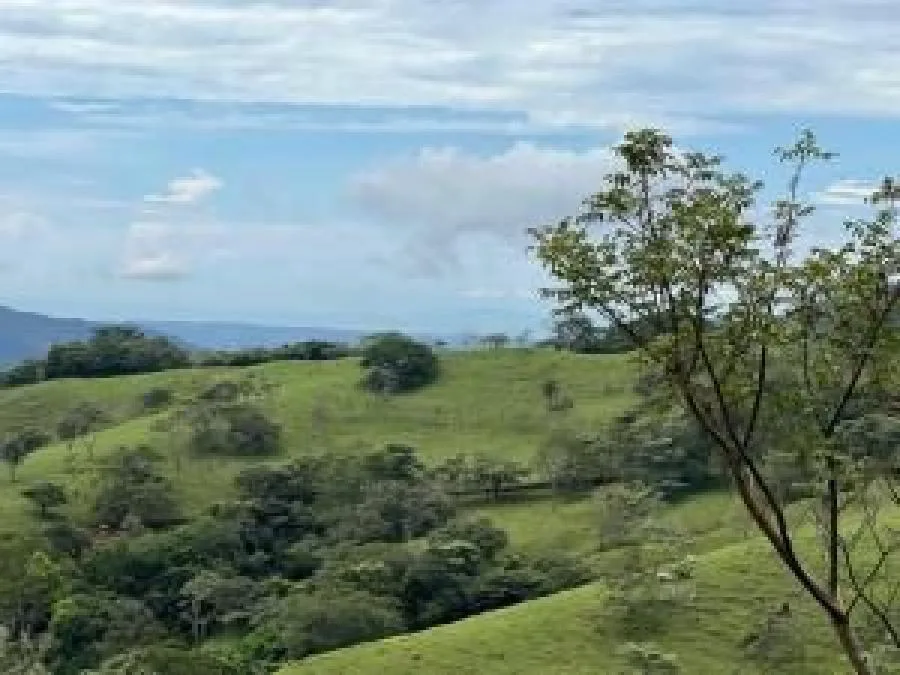 Venta de Amplio Terreno en Atenas, Alajuela / Mls. 25-590 OFC JB - Venta en Atenas