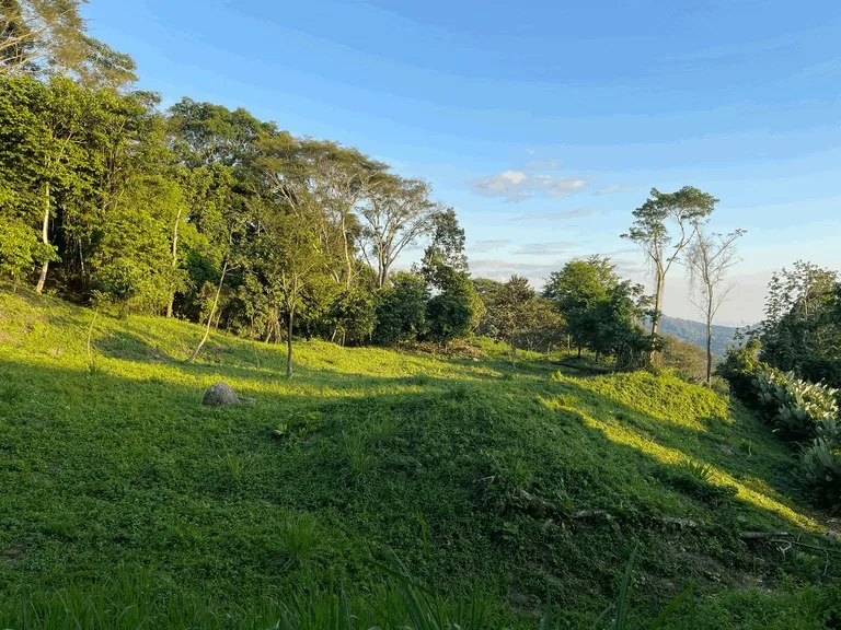 7.56 ACRES – Ocean View Acreage In Lagunas, 50% Flat And Usable, Public Road, ASADA Water, Fruit Trees!!!!, photo 2