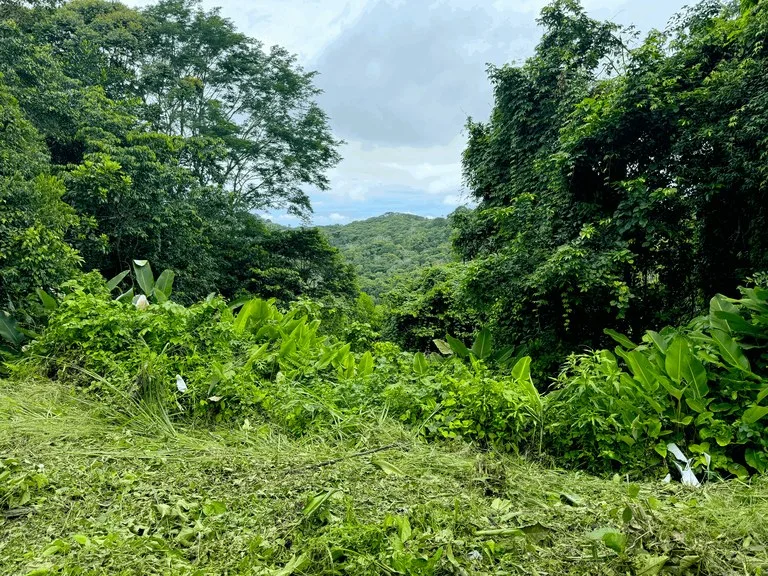 7.56 ACRES – Ocean View Acreage In Lagunas, 50% Flat And Usable, Public Road, ASADA Water, Fruit Trees!!!!, photo 12