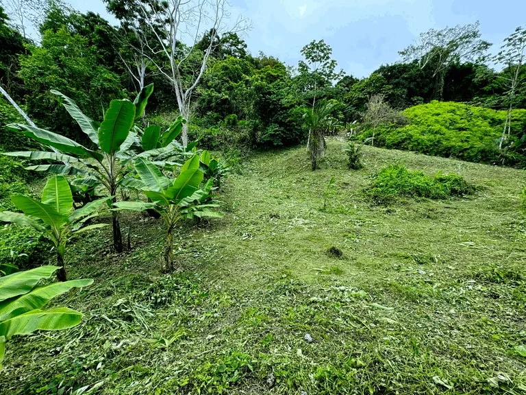 7.56 ACRES – Ocean View Acreage In Lagunas, 50% Flat And Usable, Public Road, ASADA Water, Fruit Trees!!!!, photo 5