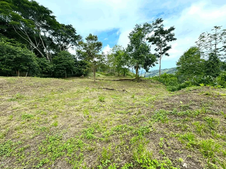 7.56 ACRES – Ocean View Acreage In Lagunas, 50% Flat And Usable, Public Road, ASADA Water, Fruit Trees!!!!, photo 7