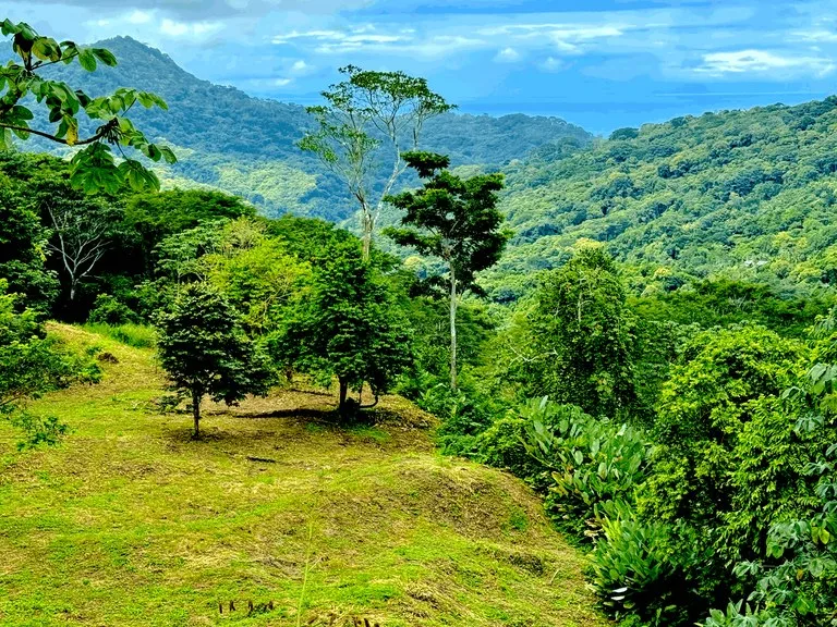 7.56 ACRES – Ocean View Acreage In Lagunas, 50% Flat And Usable, Public Road, ASADA Water, Fruit Trees!!!!, photo 10