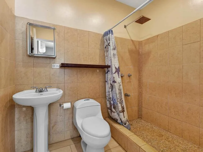 2 Bed Condo For Sale in Tamarindo, photo 4