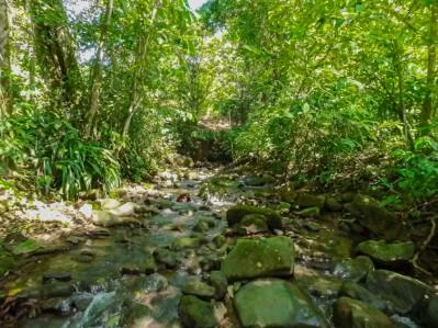 BUILDING PROPERTY NEAR TO THE RIVER, IN LAS BRISAS – 2.28 ACRES, photo 23