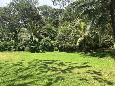 BUILDING PROPERTY NEAR TO THE RIVER, IN LAS BRISAS – 2.28 ACRES, photo 24