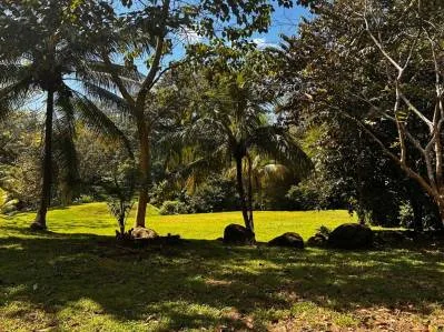 BUILDING PROPERTY NEAR TO THE RIVER, IN LAS BRISAS – 2.28 ACRES, photo 25