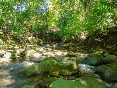 BUILDING PROPERTY NEAR TO THE RIVER, IN LAS BRISAS – 2.28 ACRES, photo 26