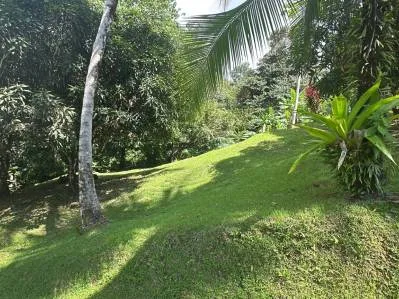 BUILDING PROPERTY NEAR TO THE RIVER, IN LAS BRISAS – 2.28 ACRES, photo 28