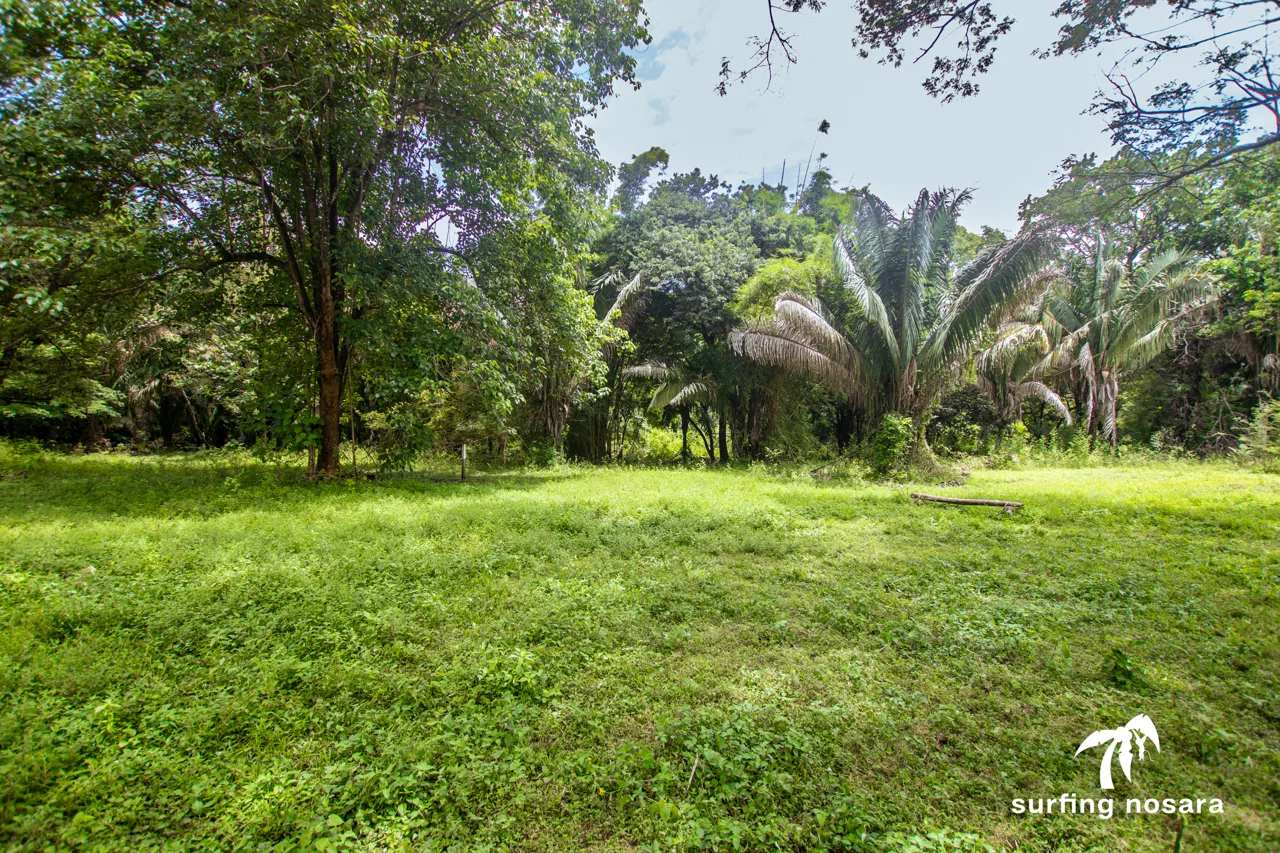 Nosara Springs, Large Flat Half Acre Building Lot, Quiet Walkable Neighborhood